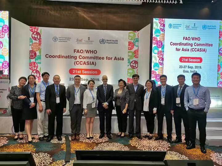 嘉興粽子”将走向世界！粽子國際标準獲得立項